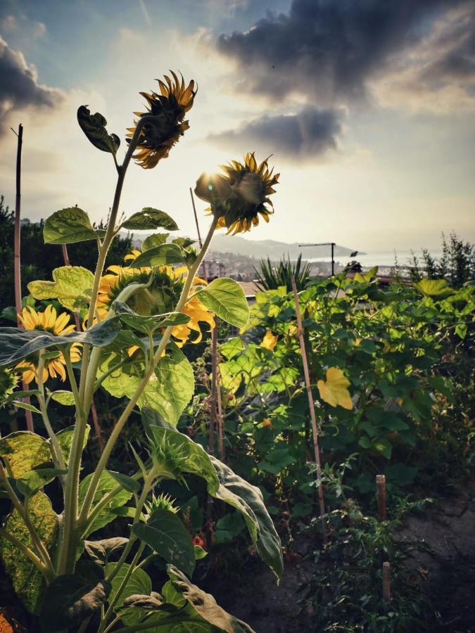 La Casa Del Sole Pensión
